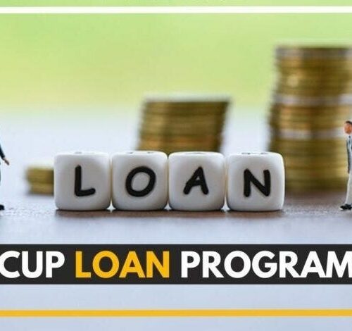 The Ultimate Guide to Securing a Cup Loan Program